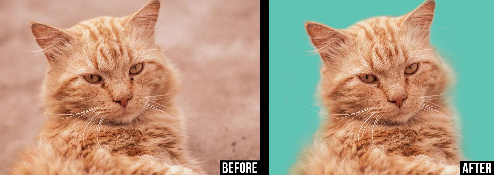 Image retouched 3